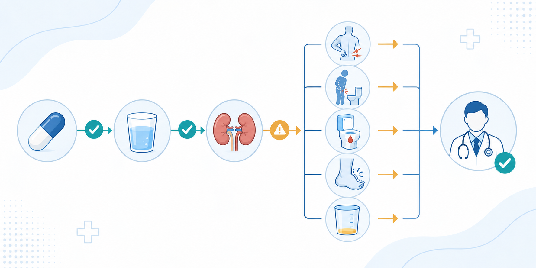 Alli kidney warning symptoms: educational pathway from capsule and hydration to kidney warning signs and clinician visit